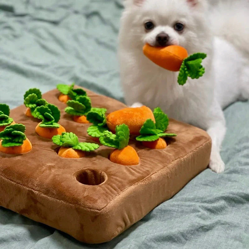 Carrots2Play | Wortelspel voor Honden