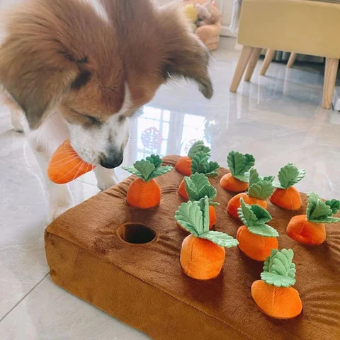 Carrots2Play | Wortelspel voor Honden