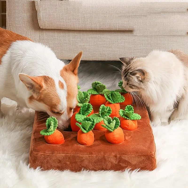 Carrots2Play | Wortelspel voor Honden