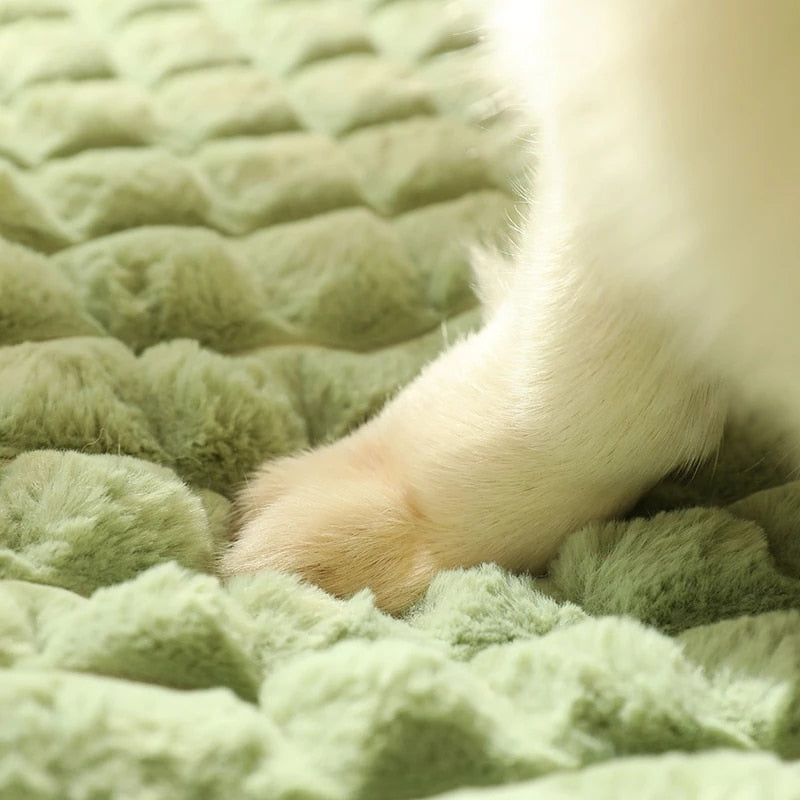 Fuzzy Haven | Zacht Huisdieren Kussen