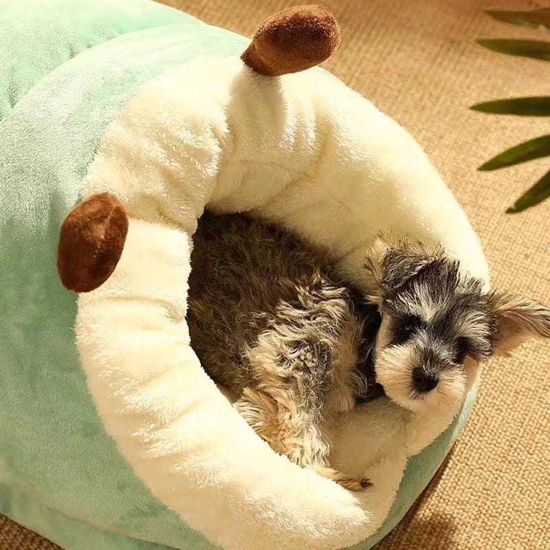 PawPuff Pillow | Schattige Zachte Mand