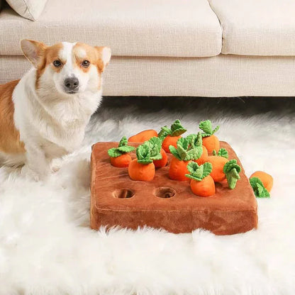 Carrots2Play | Wortelspel voor Honden