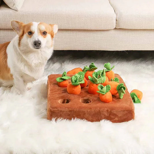 Carrots2Play | Wortelspel voor Honden