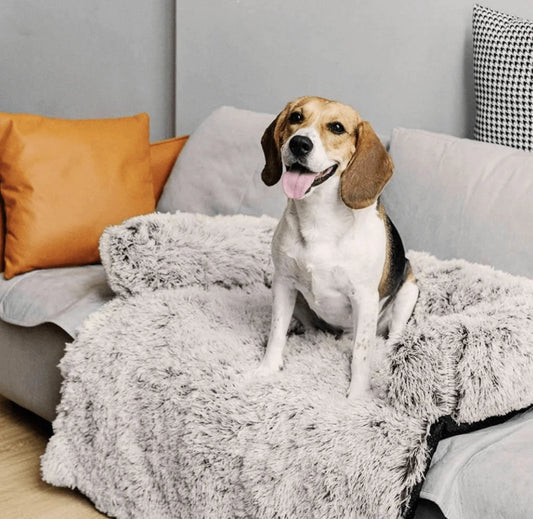 PetPillow | Bescherming voor je Bank